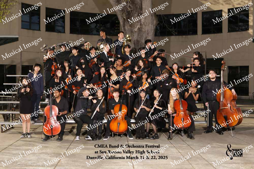 Musical Images
